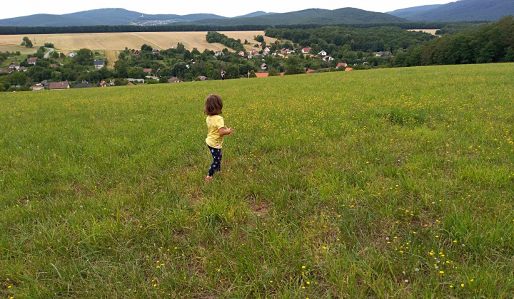 Zobraziť fotografiu